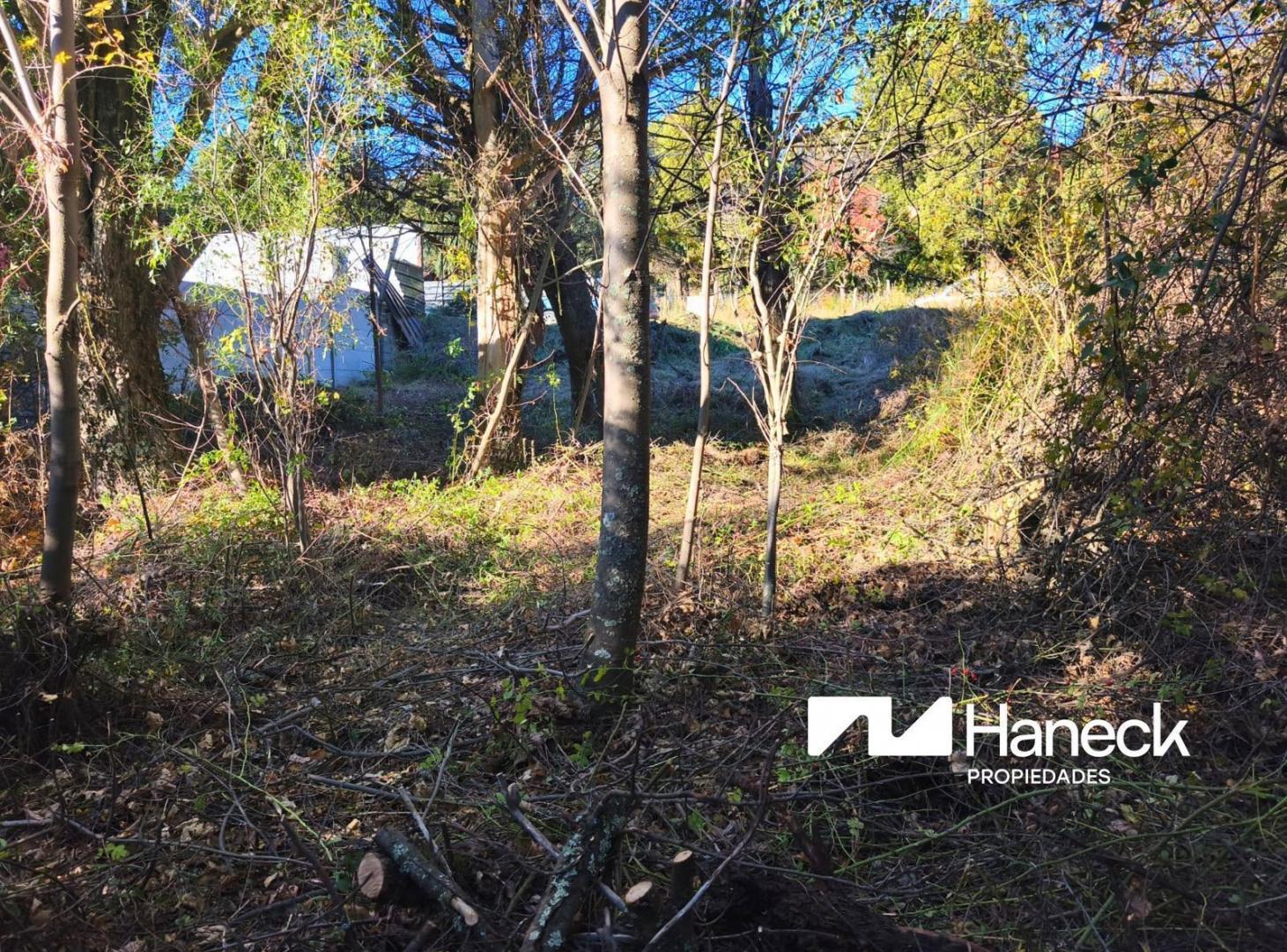 Foto de VENTA Terreno/lote 500m2, Entre cerros, Bariloche, imagen 2