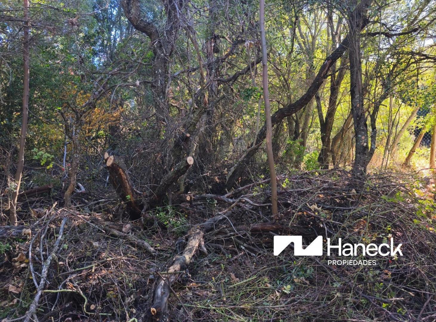 Foto de VENTA Terreno/lote 500m2, Entre cerros, Bariloche, imagen 5