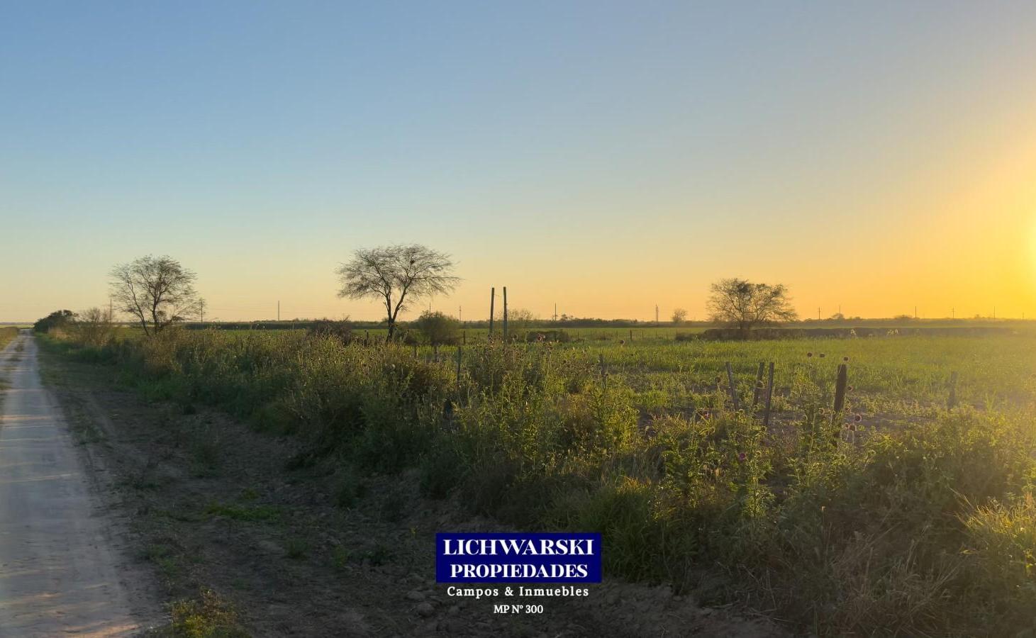 Foto de VENTA TERRENOS INDUSTRIALES | US$ 80.000 c/u | Charata, Chaco., imagen 5
