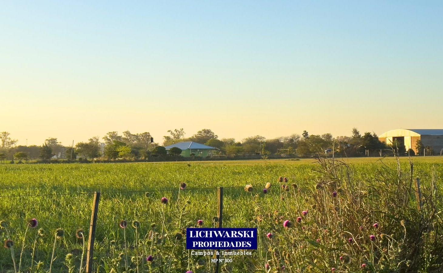Foto de VENTA TERRENOS INDUSTRIALES | US$ 80.000 c/u | Charata, Chaco., imagen 3
