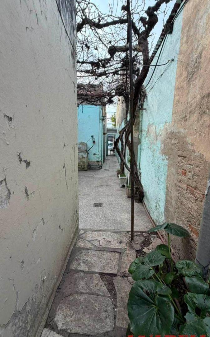 Foto de AMPLIA CASA FAMILIAR EN ALQUILER, imagen 3