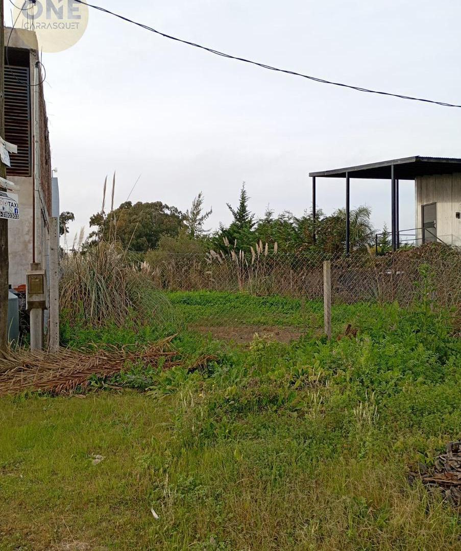 Foto de Terreno en Venta Los Talas Excelente ubicación -, imagen 1