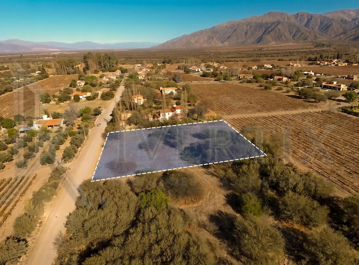 Foto de Lotes en venta en La Estancia de Cafayate, imagen 2