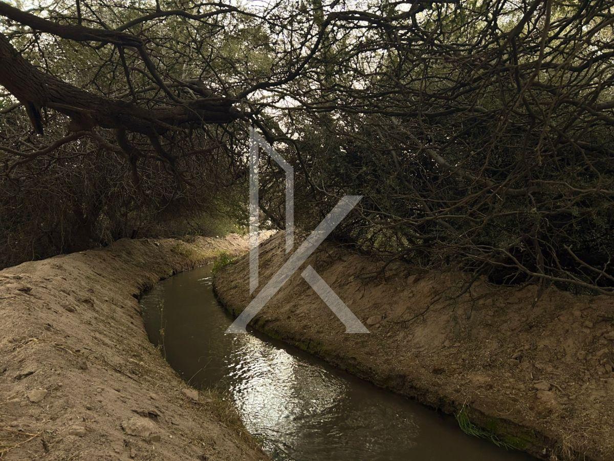 Foto de Casa de Campo en San Carlos | Amplitud, Naturaleza y Distinción, imagen 5