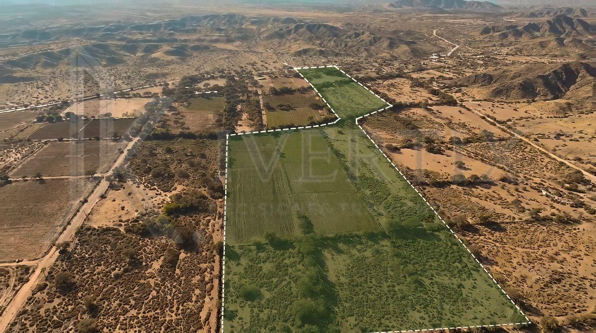 Foto de Finca de 12.8 hectáreas en el Paraje las Conchas, Cafayate., imagen 2