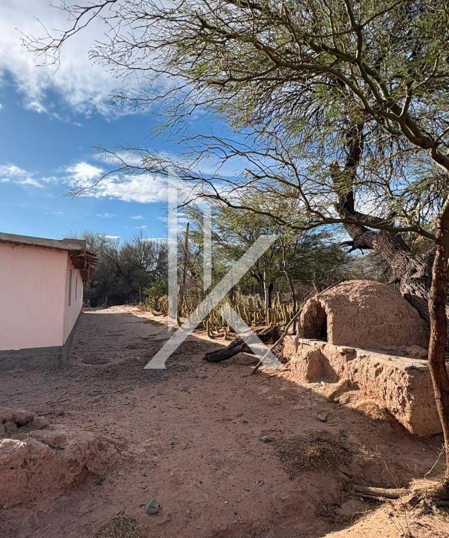 Foto de Finca de 12.8 hectáreas en el Paraje las Conchas, Cafayate., imagen 5