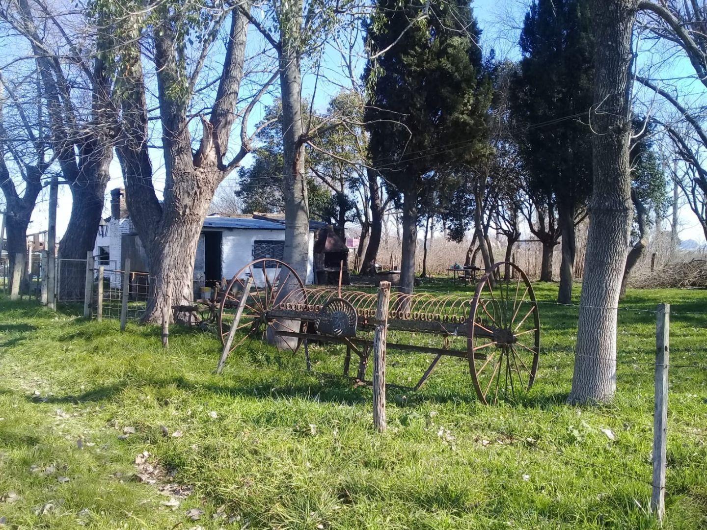 Foto de Campo 550 hectáreas | . | Ruta 3 KM 45, imagen 3