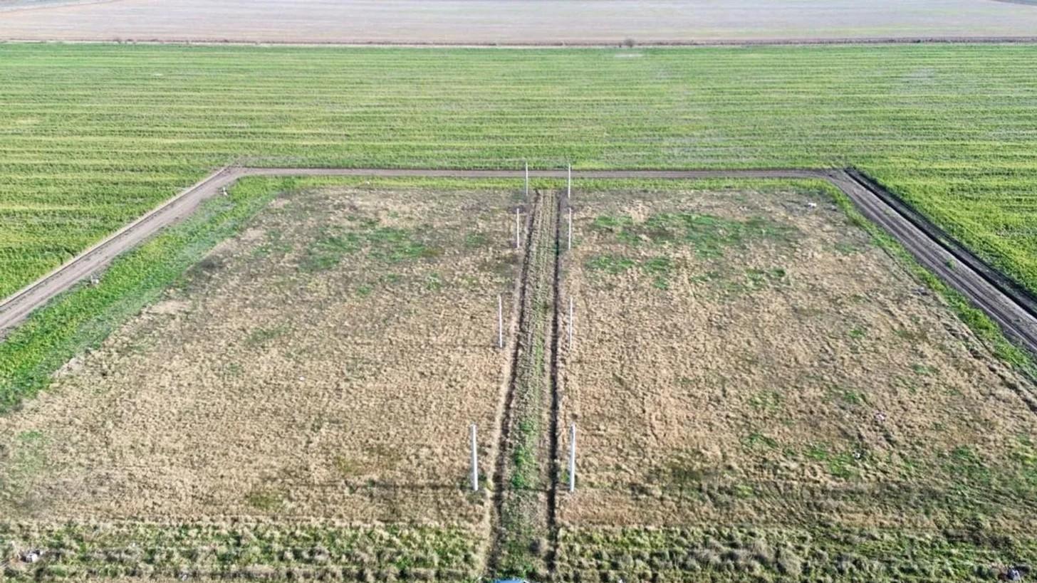 Foto de TERRENO EN VENTA EN MURPHY ZONA RESIDENCIAL, imagen 4
