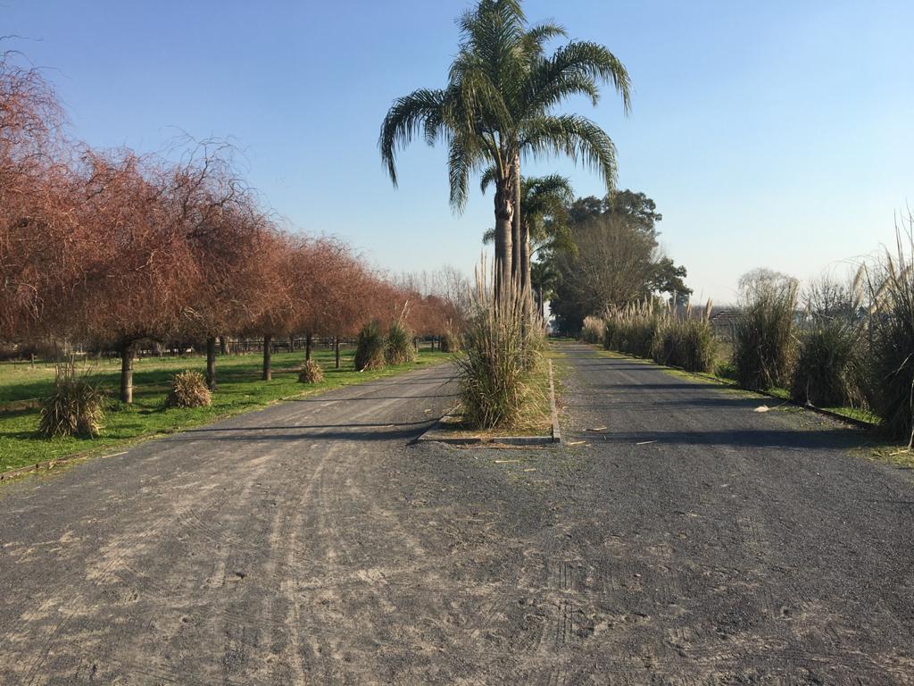 Campo de 24 hs en Gral Rodriguez. ideal para desarrollo en la mejor zona del POLO