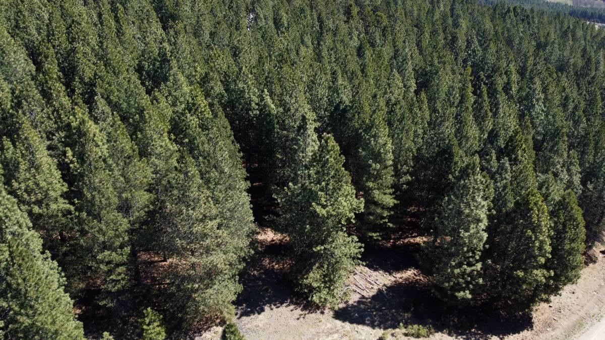 Terreno en El Desafío