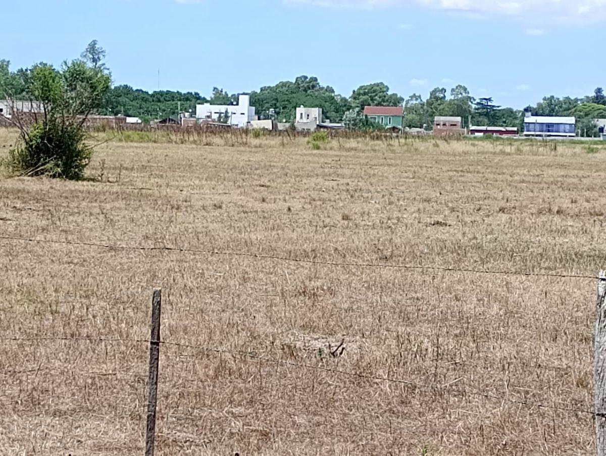 Campo en venta – 6 hectáreas – Ruta 53