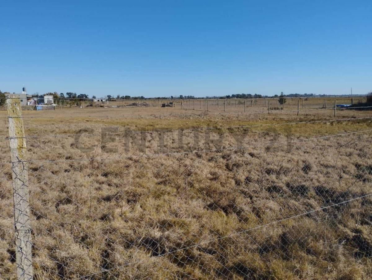 Foto de LOTE EN VENTA LA HERMOSURA BERISSO LA PLATA, imagen 5