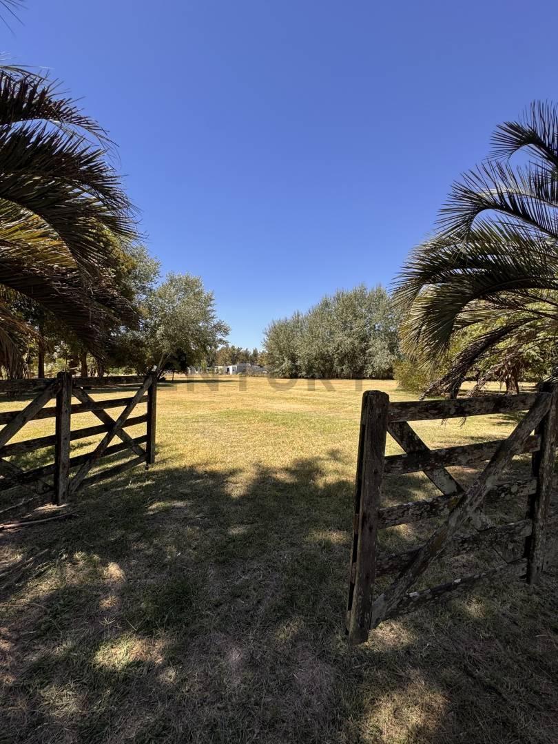 Foto de LOTE EN VENTA BRANDSEN ESTANCIA LAS MALVINAS, imagen 5