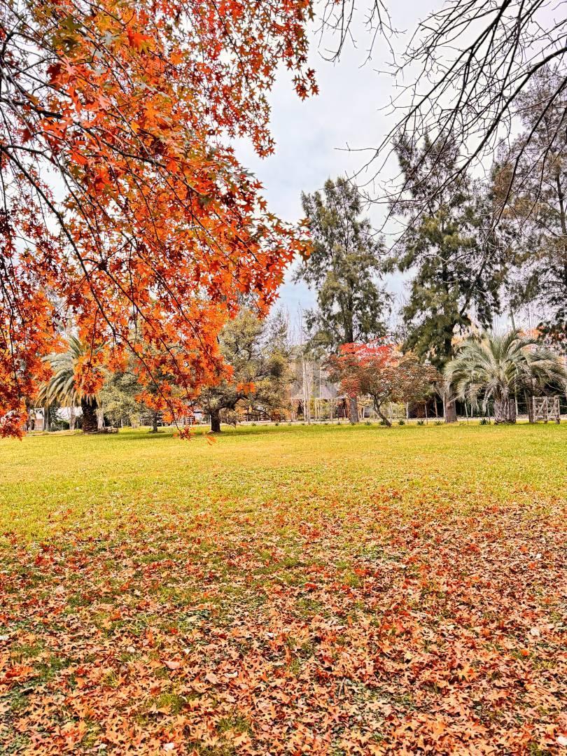 Foto de LOTE EN VENTA BRANDSEN ESTANCIA LAS MALVINAS, imagen 2