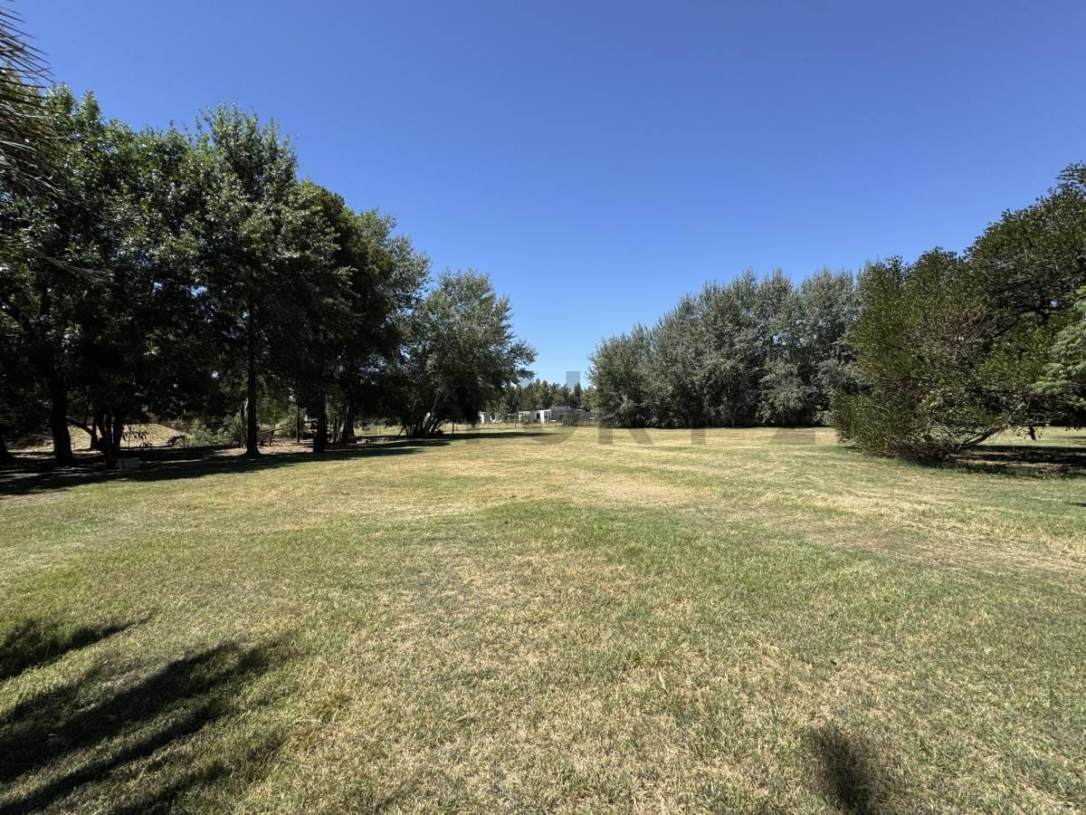 Foto de LOTE EN VENTA BRANDSEN ESTANCIA LAS MALVINAS, imagen 4
