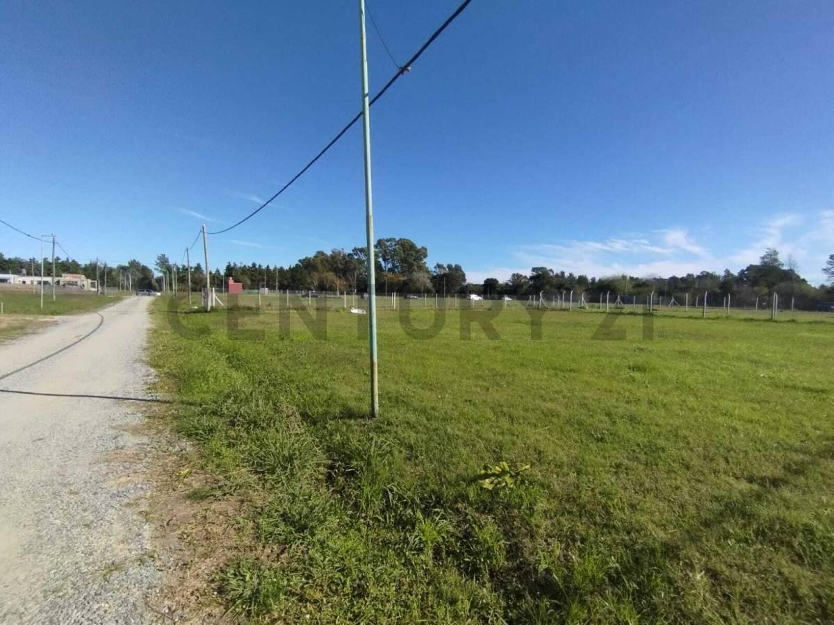 Foto de TERRENO EN VENTA EN SICARDI, imagen 5