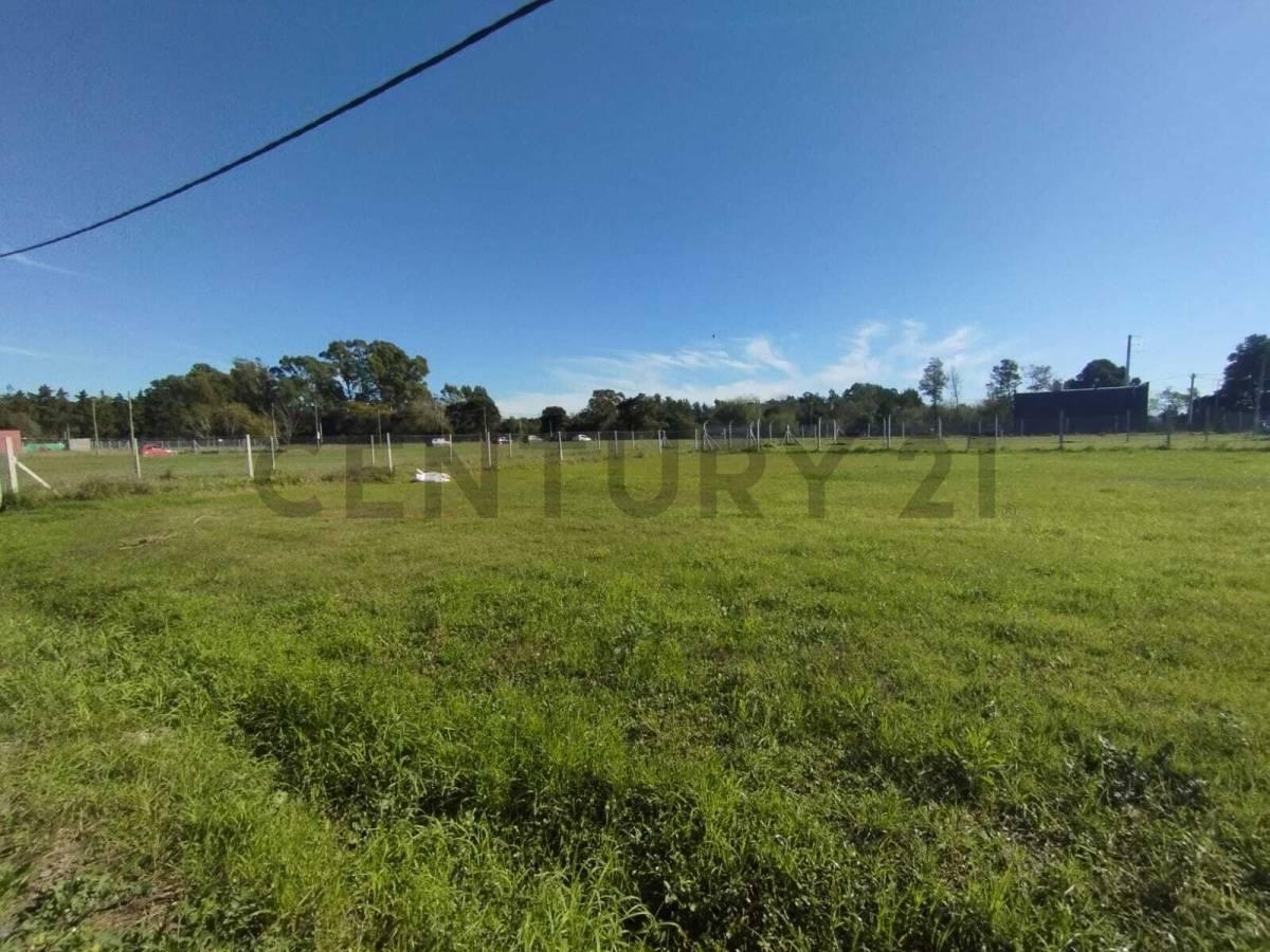 Foto de TERRENO EN VENTA EN SICARDI, imagen 1
