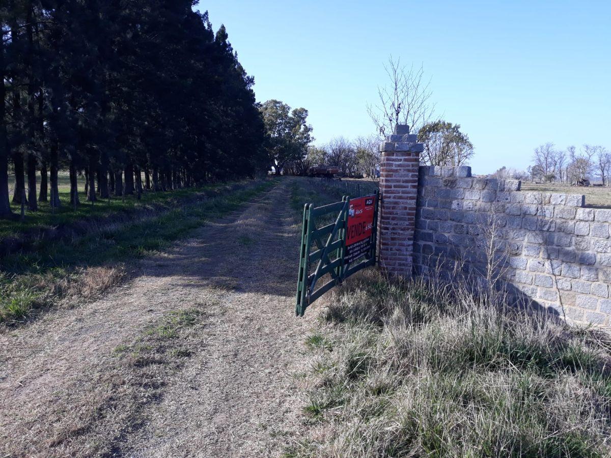 FRACCION SOBRE RUTA 205
