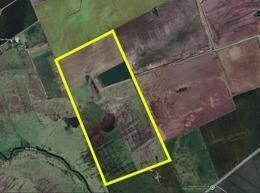 VENTA DE CAMPO - LA VANGUARDIA, CORONEL BOGADO