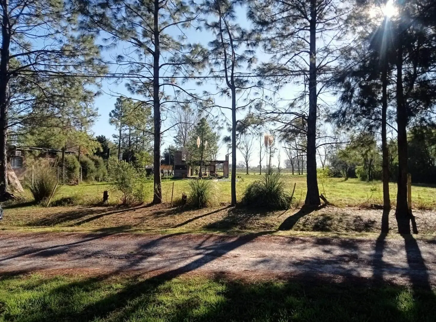 VENTA - TERRENO - ROLDAN 1