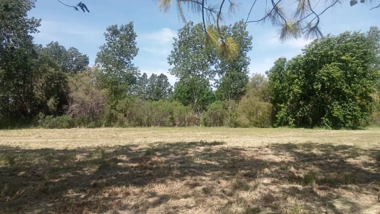 VENTA - TERRENO - ROLDAN 5