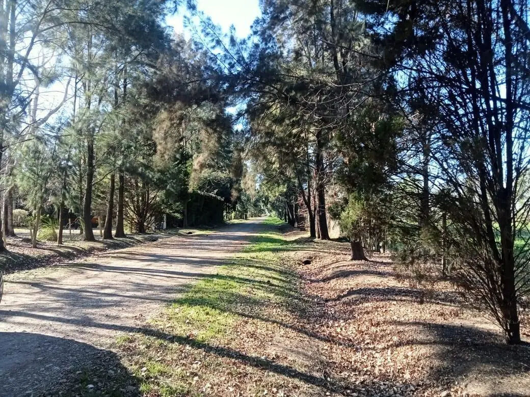 VENTA - TERRENO - ROLDAN 3