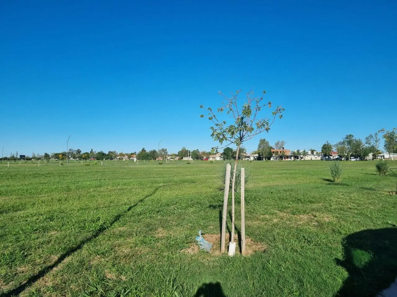 Terreno en General Lagos 4