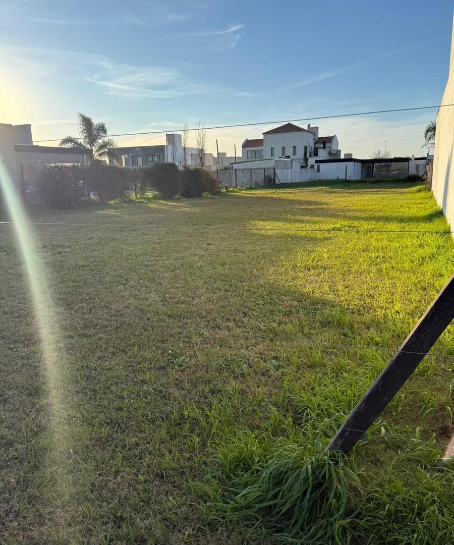 Foto de VENTA DE TERRENO EN DON MATEO, imagen 4
