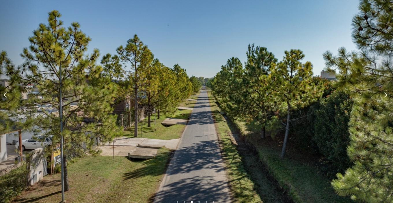 Foto de TERRENO EN VENTA EN DON MATEO, imagen 2
