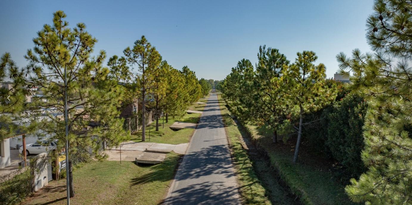 Foto de TERRENO EN VENTA EN DON MATEO, imagen 4