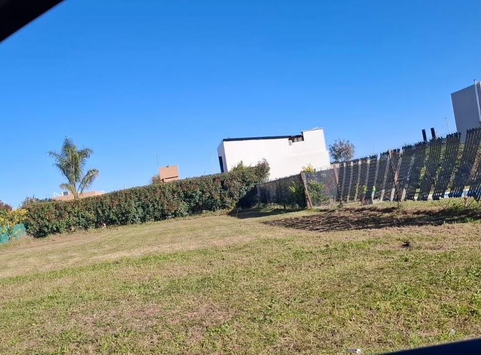 Foto de TERRENO EN VENTA EN DON MATEO, imagen 1