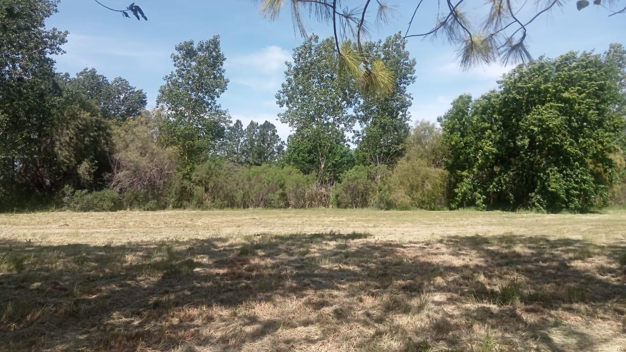 Foto de VENTA - TERRENO - ROLDAN, imagen 2