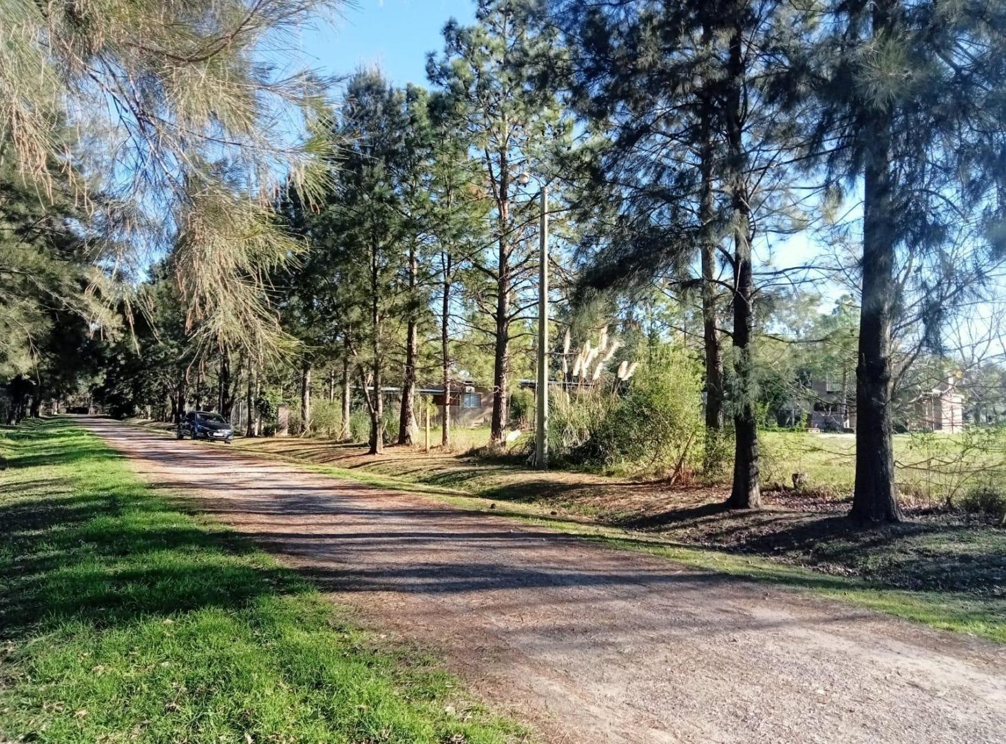 Foto de VENTA - TERRENO - ROLDAN, imagen 1