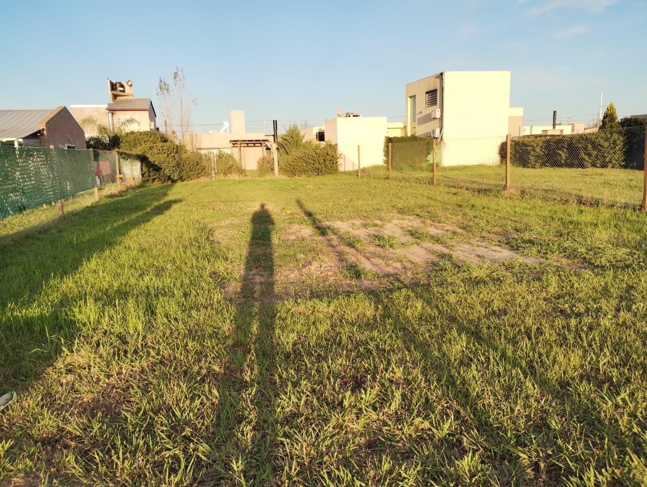 Foto de VENTA DE TERRENO EN ROLDAN, imagen 3