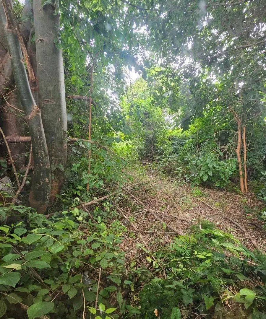 VENTA TERRENO DE 392 M² CON CASA A DEMOLER QUILMES 3