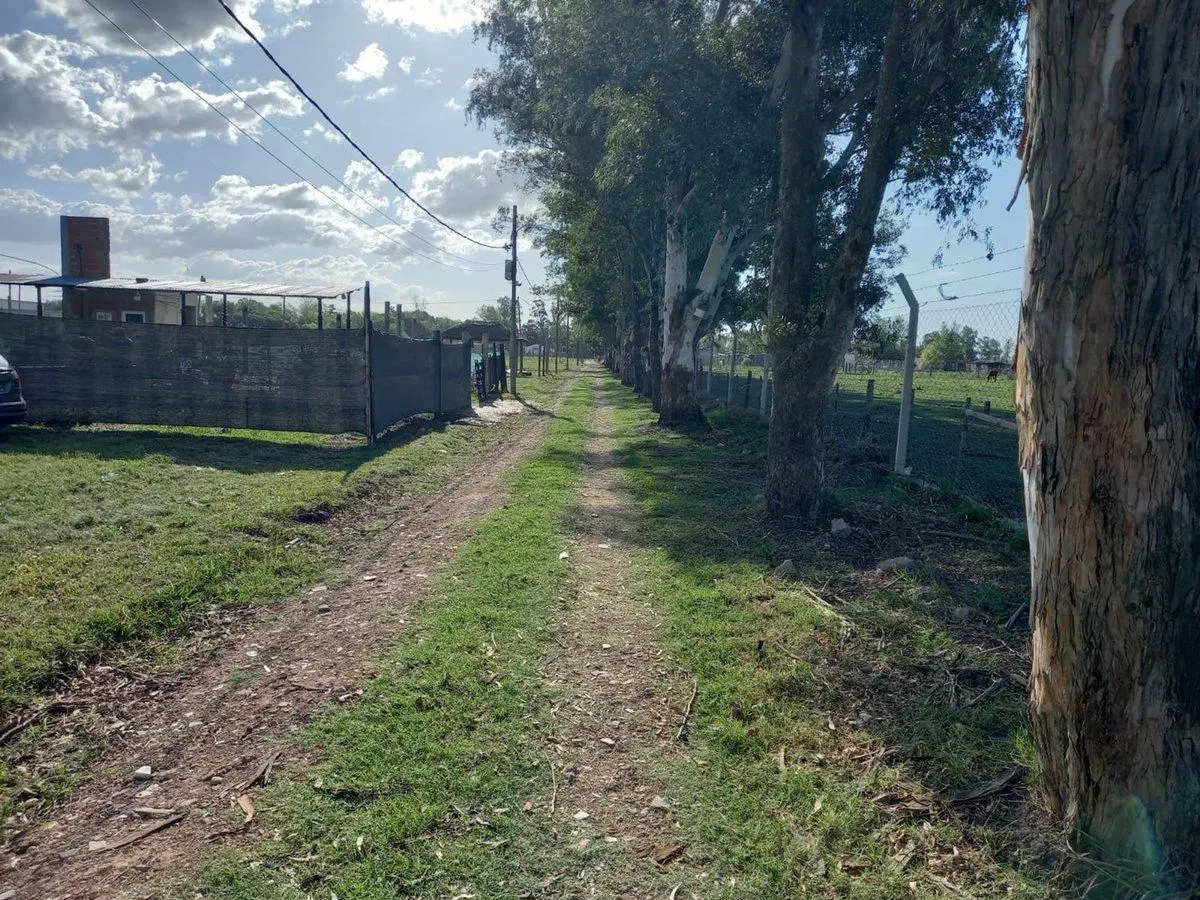 VENTA/FINANCIACION LOTE FINCAS DON OCTAVIO 5