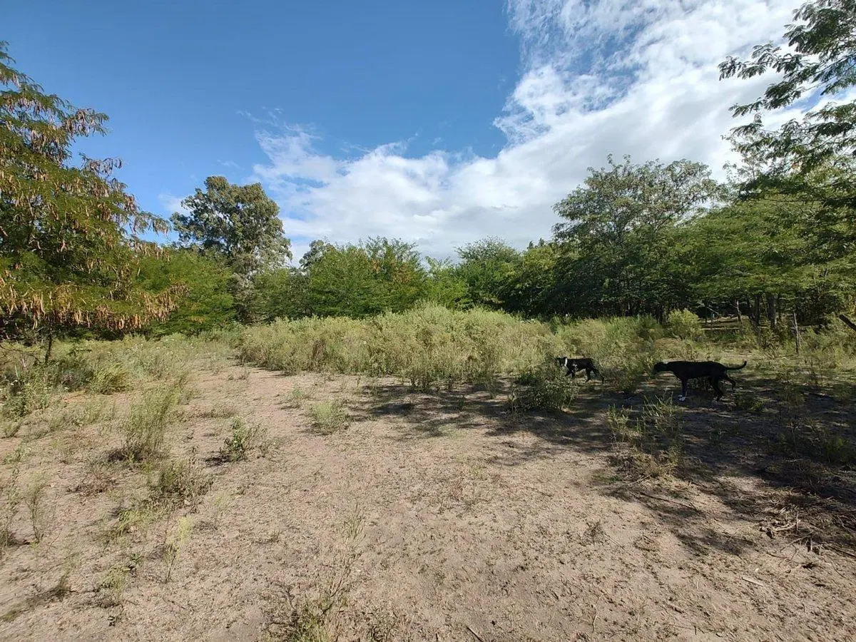 Lote en El Pato. Venta urgente! Leer descripcion 5