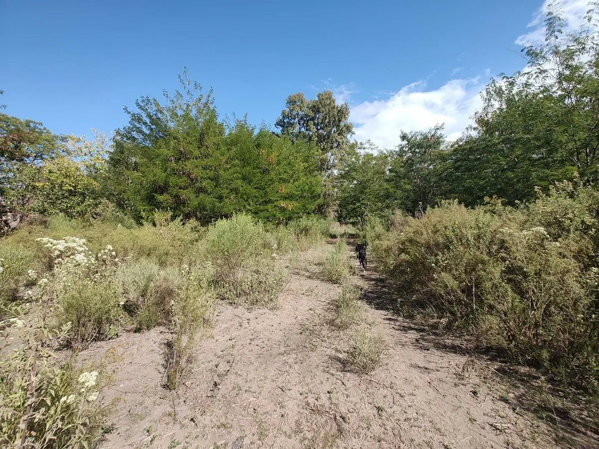 Lote en El Pato. Venta urgente! Leer descripcion 3