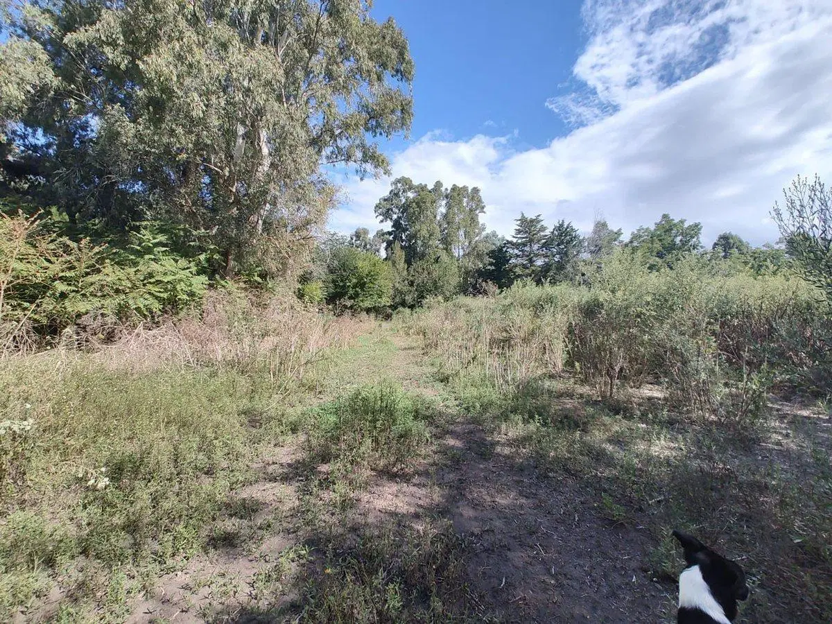 Lote en El Pato. Venta urgente! Leer descripcion 4