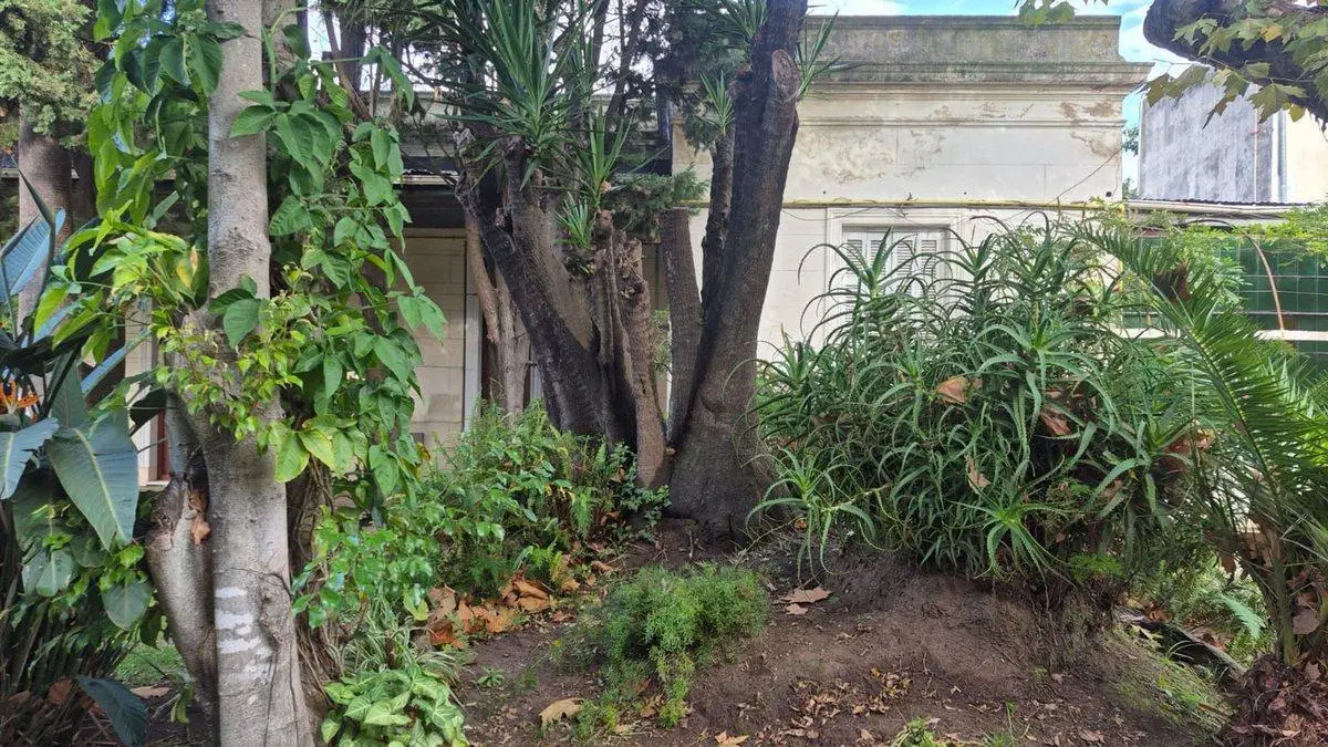 Venta Lote Bernal Centro 5