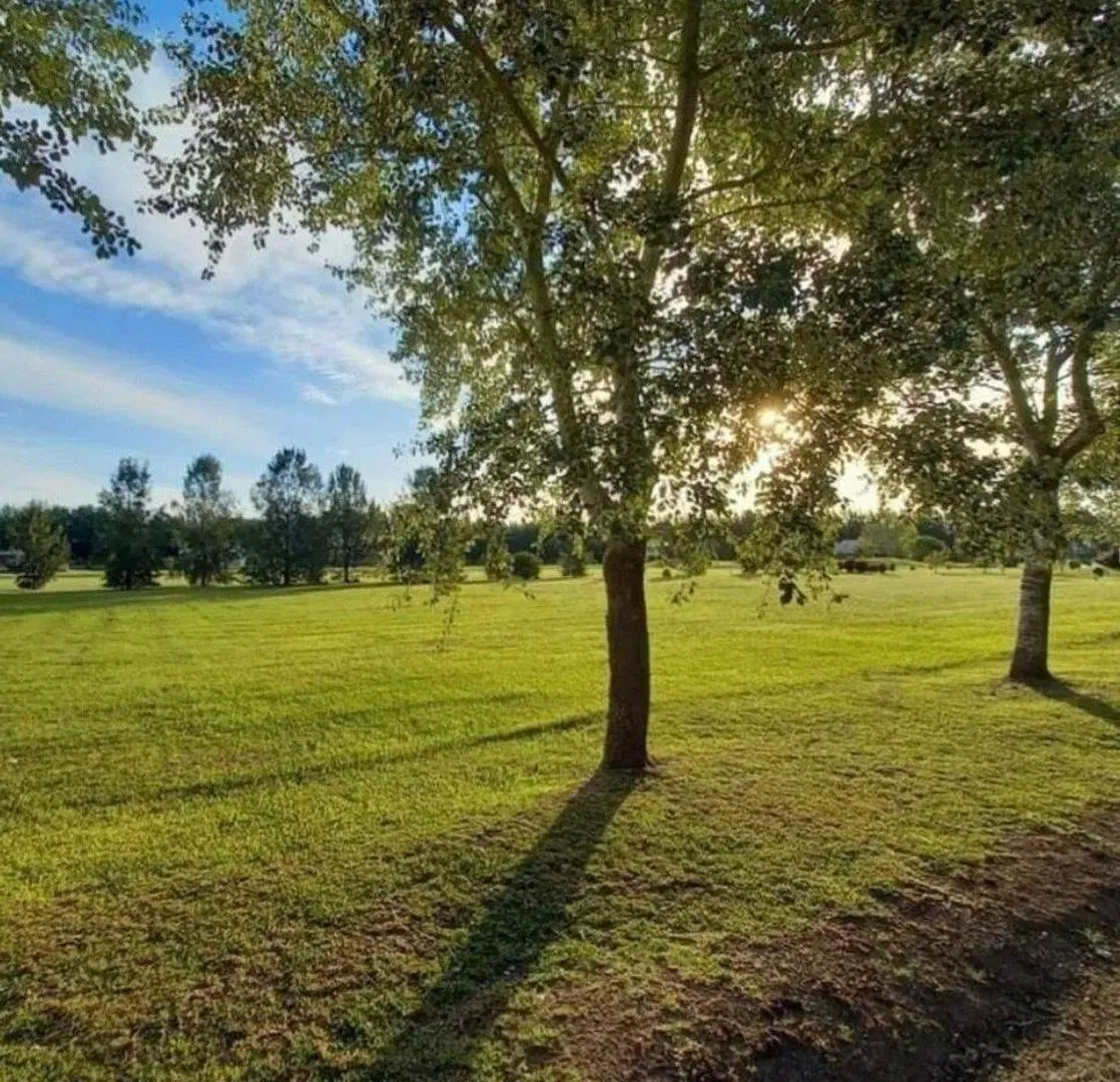 Venta de 2 lotes Haras DEL SUR  II 3