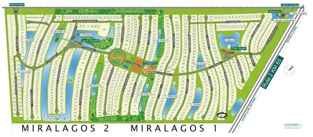 Plano 1