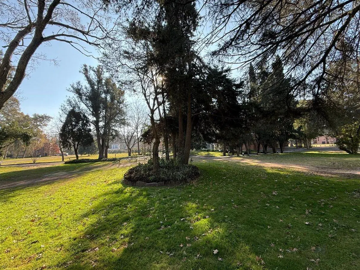VENTA DE LOTE EN LA ARBOLADA 2