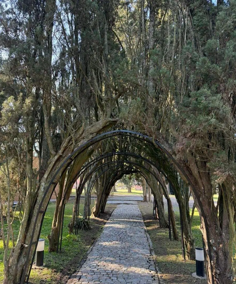 VENTA DE LOTE EN LA ARBOLADA 5
