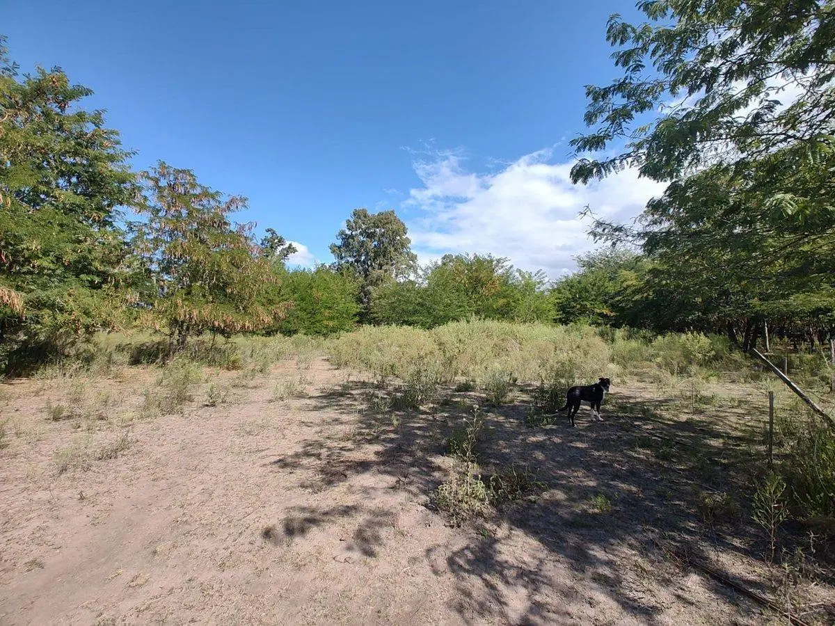 Lote en El Pato. Venta urgente! Leer descripcion 4