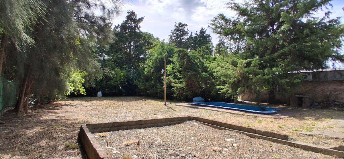Foto de VENTA QUINTA EN EL PATO, imagen 4