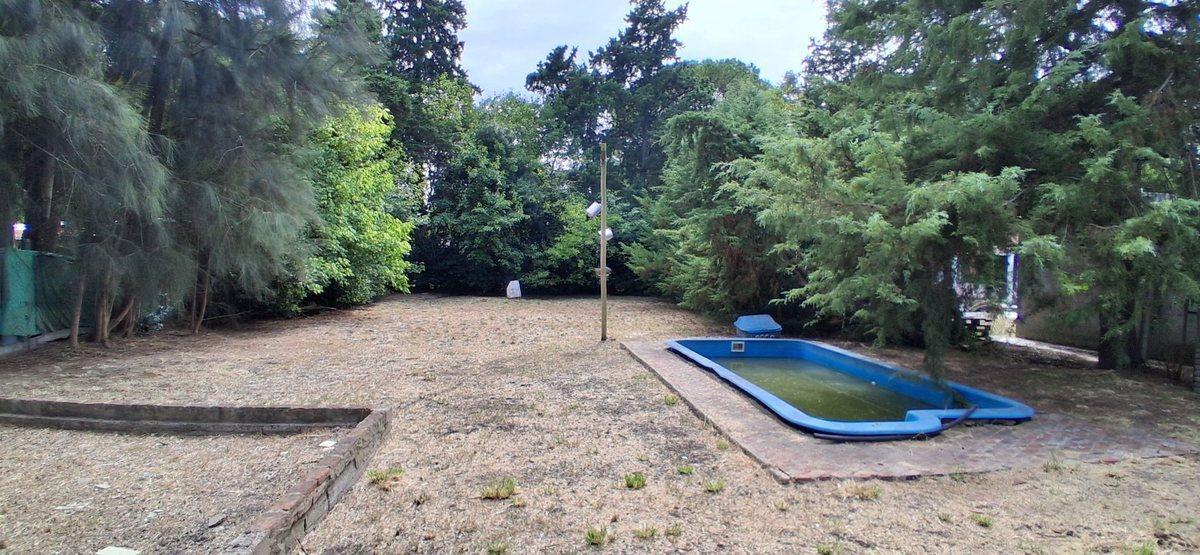 Foto de VENTA QUINTA EN EL PATO, imagen 2