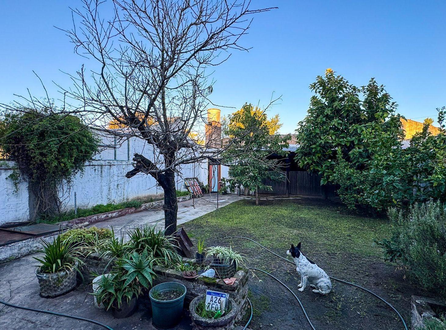 Foto de VENTA CASA 3 AMBIENTES CON COCHERA EN SOLANO, imagen 2