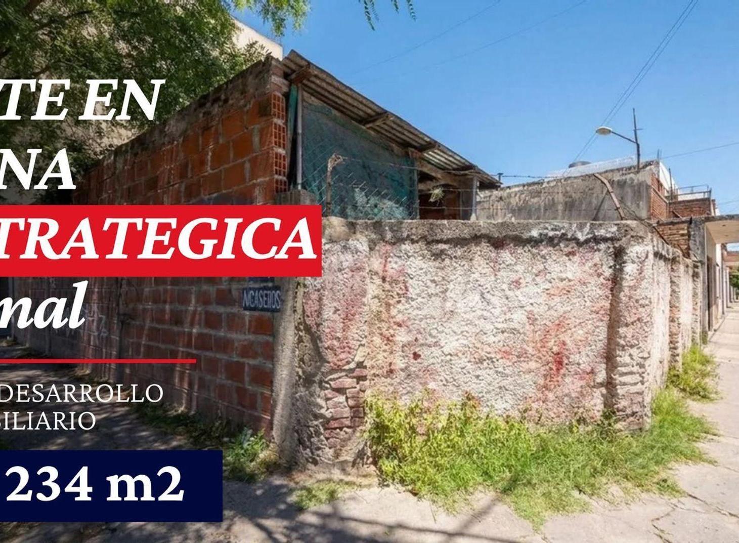 Foto de Lote en Venta ideal desarrollo residencial, Bernal, imagen 5