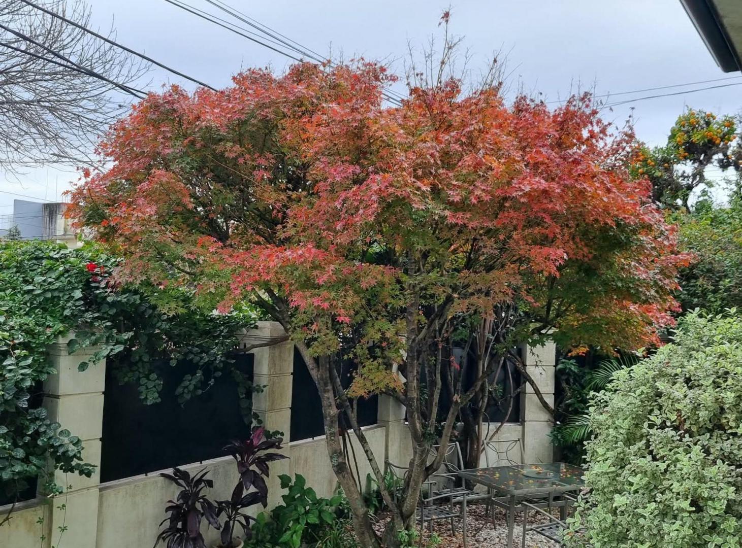 Foto de Venta casa de 4 ambientes estilo ingles Quilmes C, imagen 2